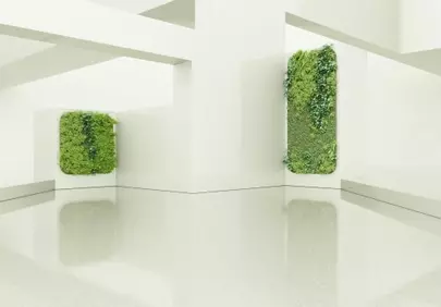 Minimalist Greenery: Serene White Room with Lush Vertical Gardens
