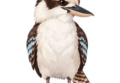 Charming Kookaburra Illustration: Iconic Australian Wildlife