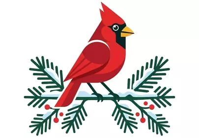 Vibrant Winter Cardinal Perched on Snowy Pine Branch