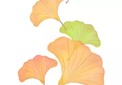 Vibrant Ginkgo Leaves: A Modern Autumn Botanical Illustration