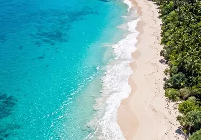 Breathtaking Tropical Beach Paradise: Crystal Waters & Lush Shores
