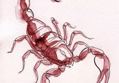 Striking Watercolor Scorpion: A Symbol of Primal Power