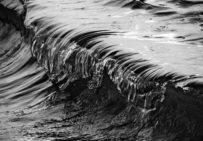 Dramatic Black and White Wave Captures Ocean's Raw Power