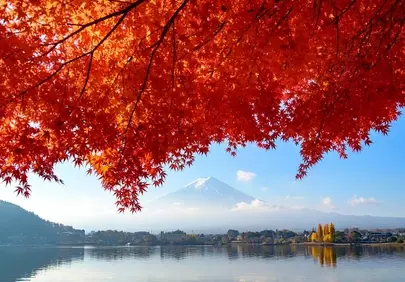 Vibrant Autumn Splendor: Mount Fuji & Fiery Maple Reflection