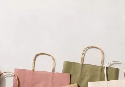 Sustainable Chic: Eco-Friendly Shopping Bags & Succulent Decor