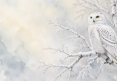 Enchanting Snowy Owl: Winter Watercolor Woodland Art