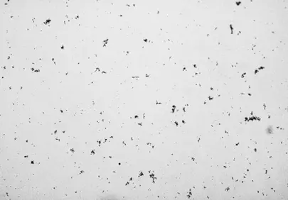 Subtle Particles: A Dynamic Light Background Texture