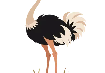 Charming Ostrich Mascot: Flat Style Safari Icon