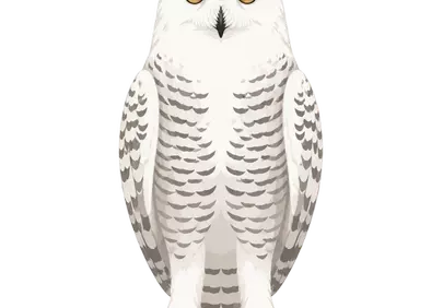 Majestic Snowy Owl Illustration: Arctic Predator Portrait