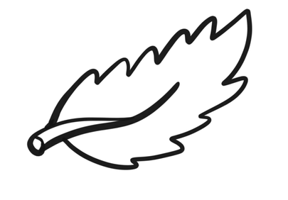 Charming Hand-Drawn Leaf Outline Illustration