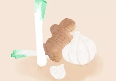 Vibrant Culinary Essentials: Fresh Ginger, Garlic, and Leek Illustration