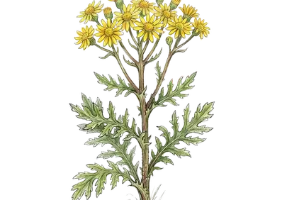 Vibrant Hand-Drawn Yellow Wildflowers for Textile Design