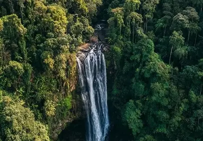 Majestic Rainforest Waterfall Plunging into Verdant Jungle Depths