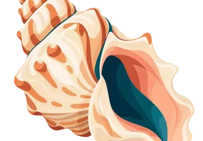 Stunning Tropical Conch: Ocean's Artful Whisper