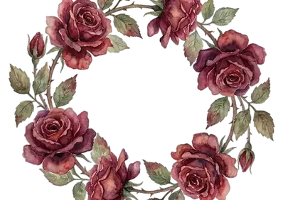 Exquisite Vintage Watercolor Rose Wreath Illustration