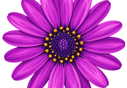 Vibrant Purple Daisy: A Symphony of Spring Colors