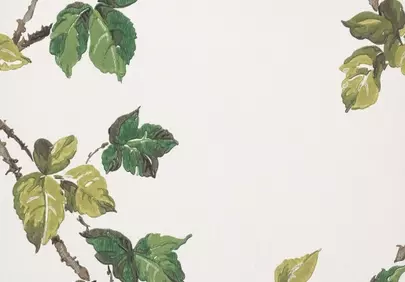 Vibrant Green Foliage on White: Nature's Elegance Wallpaper