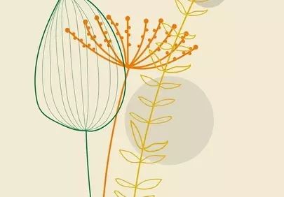 Minimalist Botanical Elegance: Boho Floral Outline Art