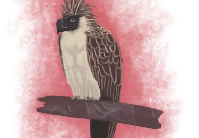 Majestic Philippine Eagle: Striking Wildlife Illustration