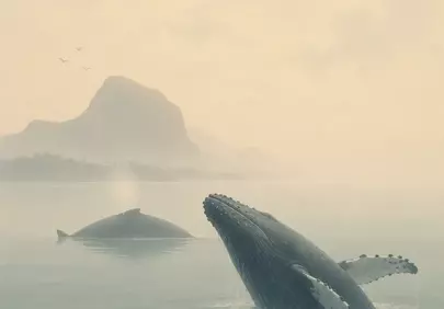 Misty Ocean Majesty: Humpback Whales Breaching at Sunrise