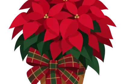Vibrant Poinsettia: Festive Red & Green Holiday Decoration