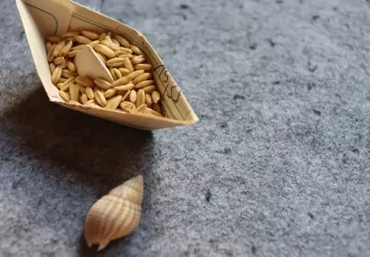 Minimalist Origami Boat with Grains: A Symbol of Journey and Growth