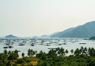 Breathtaking Vung Ro Bay: A Serene Vietnamese Aquaculture Landscape