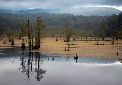 Enchanting Autumn Mist: Serene Forest Lake Reflections
