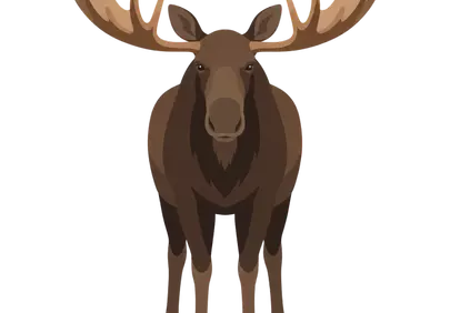 Majestic Moose Illustration: Nature's Gentle Giant