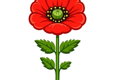 Vibrant Red Poppy: Iconic Spring Flower Illustration
