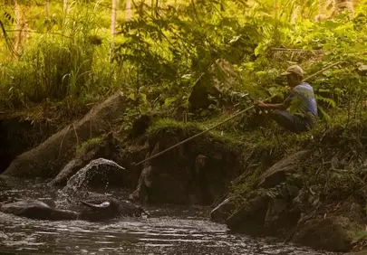 Rustic Twilight: Man, Buffalo, and River's Embrace