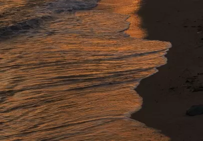 Golden Sunset Reflections: Ocean Waves on Shore