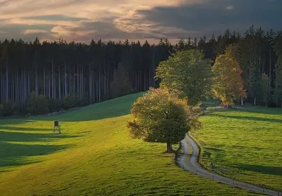 Golden Hour Glow: Autumn Meadow Serenity