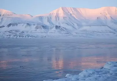 Arctic Majesty: Pink Sunset on Snowy Fjord Mountains