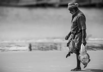 Sole Breadwinner: A Fisherman's Daily Catch on the Beach