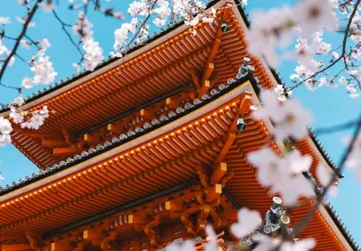 Vibrant Pagoda Amidst Cherry Blossom Splendor