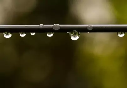 Stunning Macro: Water Drops Reflecting Nature's Beauty