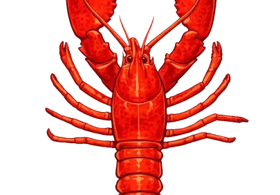 Vibrant Red Lobster Illustration: Ocean's Armored Jewel