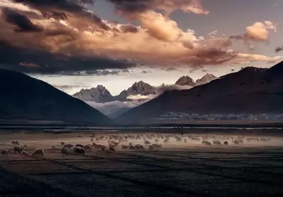 Breathtaking Sunset over Alpine Pastures: Sheep and Misty Mountains