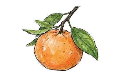 Vibrant Watercolor Citrus: High-Contrast Art
