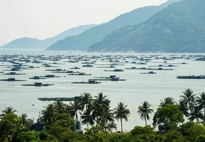 Serene Vung Ro Bay: A Vietnamese Aquaculture Marvel Amidst Mountains