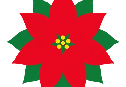Vibrant Minimalist Poinsettia: Iconic Christmas Floral Illustration