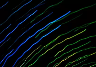 Vibrant Neon Waves: Dynamic Blue-Green Light Streaks