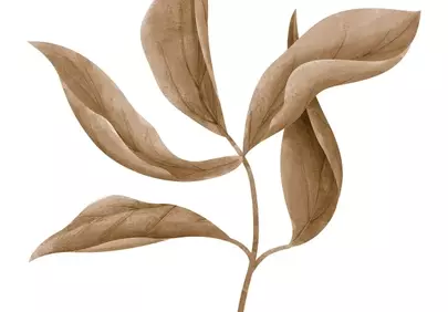 Minimalist Brown Botanical Leaves Design
