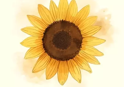Radiant Watercolor Sunflower Art