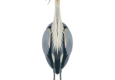 Stunning Stylized Great Blue Heron: Elegant Wildlife Illustration
