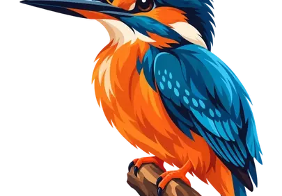 Vibrant Kingfisher Illustration: A Splash of Nature's Hues