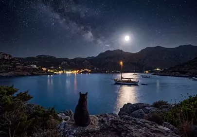 Enchanting Night: Cat Gazes at Moonlit Bay and Starry Sky