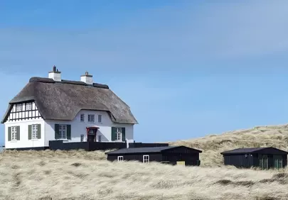 Idyllic Coastal Retreat: Charming Thatched House on Danish Dunes