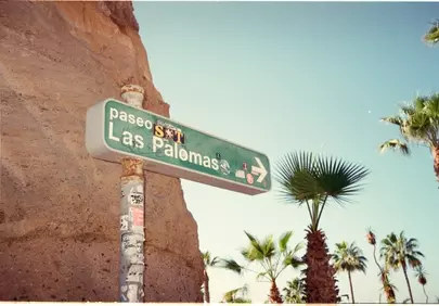 Vibrant Las Palmas Sign Amidst Tropical Palms